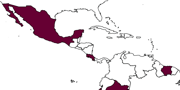 map of Gonatopus drifti     (Olmi, 1991)